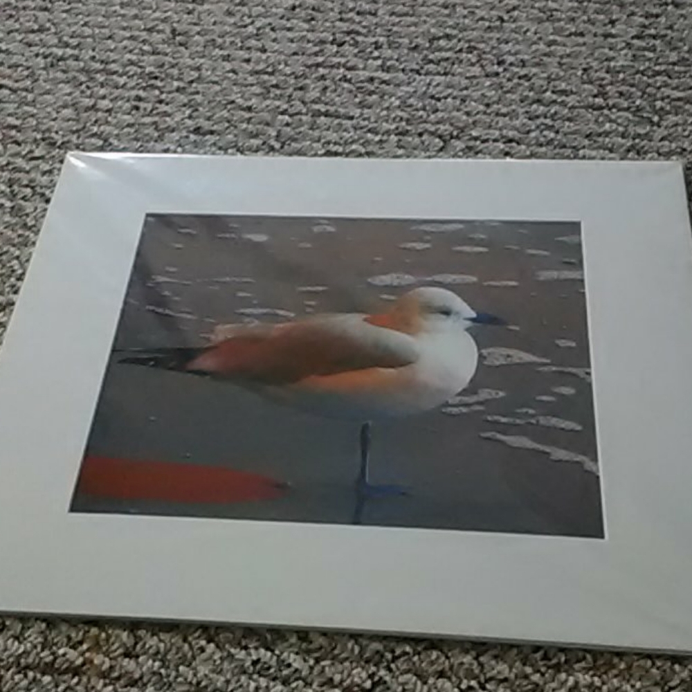 Original photograph.